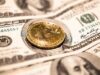 Trusted Tips for Every Bitcoin Trader to Succeed in a Competitive Market cryptocurrency